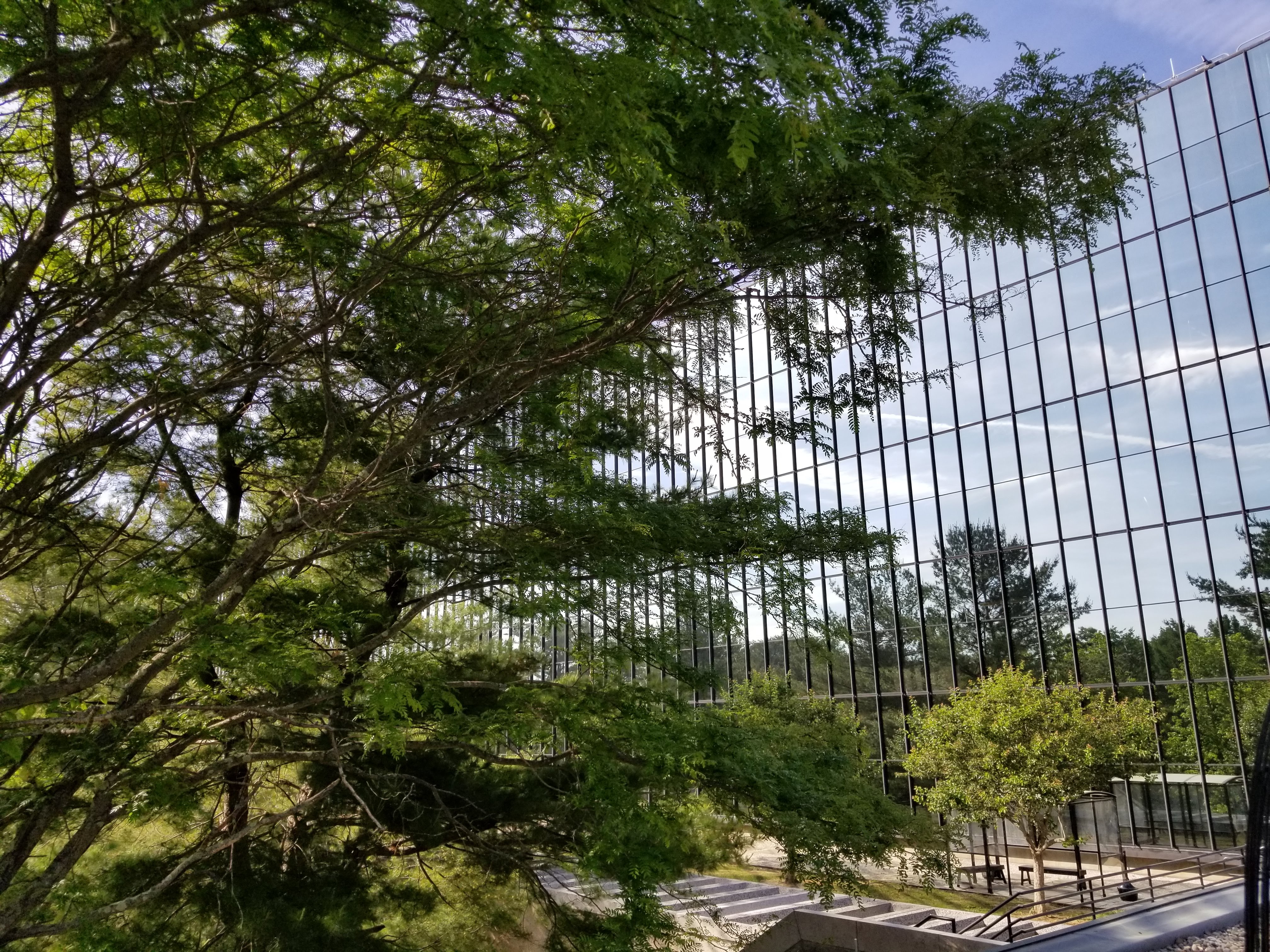 Exterior shot of the Bell Labs Holmdel Complex with a large tree on the left
